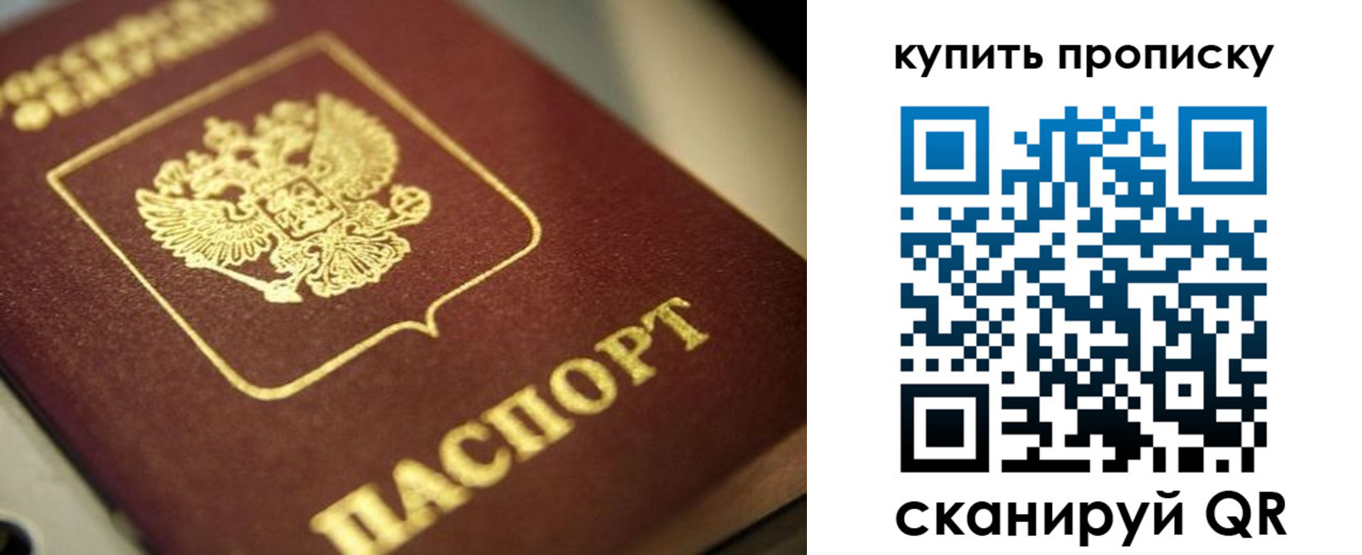 прописка поиск в Венёве